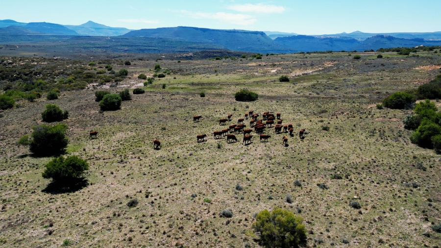 0 Bedroom Property for Sale in Lady Grey Eastern Cape